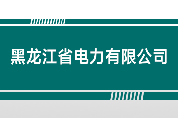 黑龙江省电力有限公司