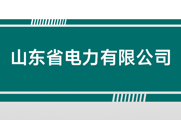 山东省电力有限公司